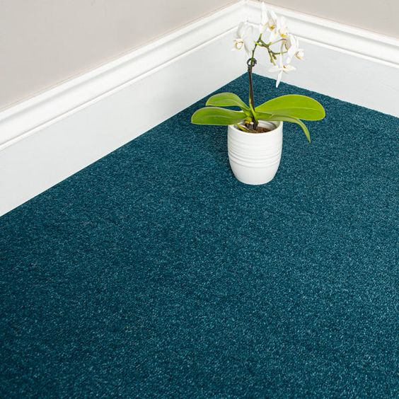 rooms with Blue Carpet